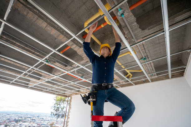 Best Toilet Repair Services  in Villas, FL
